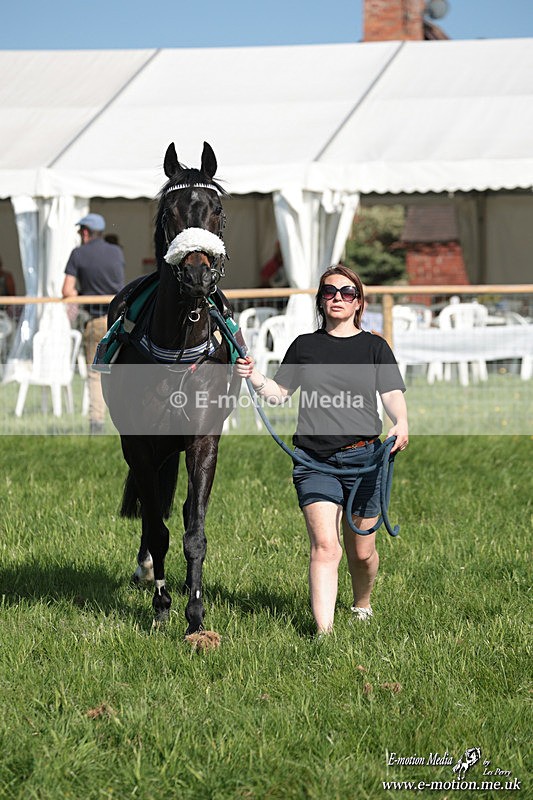 PR 250526 27 - Pony Racing from Chaddesley Corbett 25/05/26