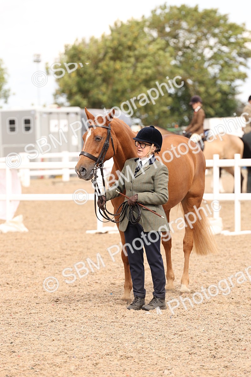 SBM_14688 - Class 208 - IH Veteran Horse