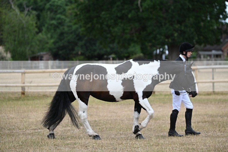 WJ6_7825 - Class 10 Coloured in Hand