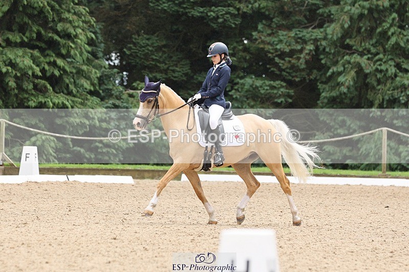 240810-143152-03664 - 301-Sophia.Longworth-Don.Deluxe