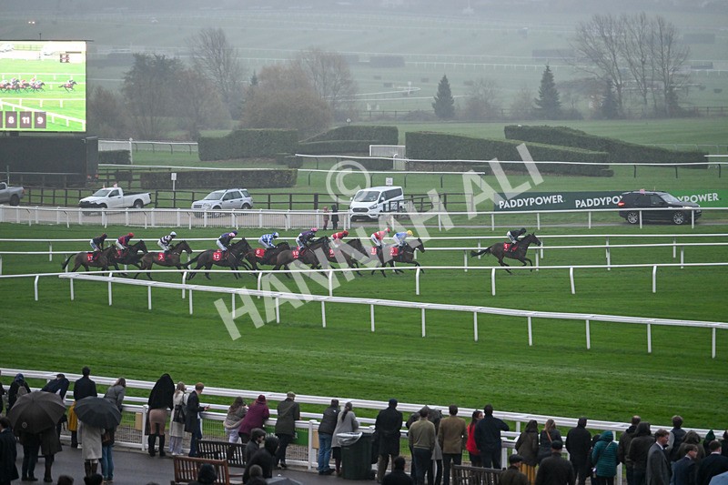 161124-Race 7-GVs-2011 - Race 7