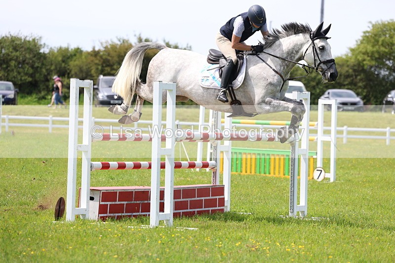 3E7A1393 - Class 12: Senior Foxhunter/1.20 open