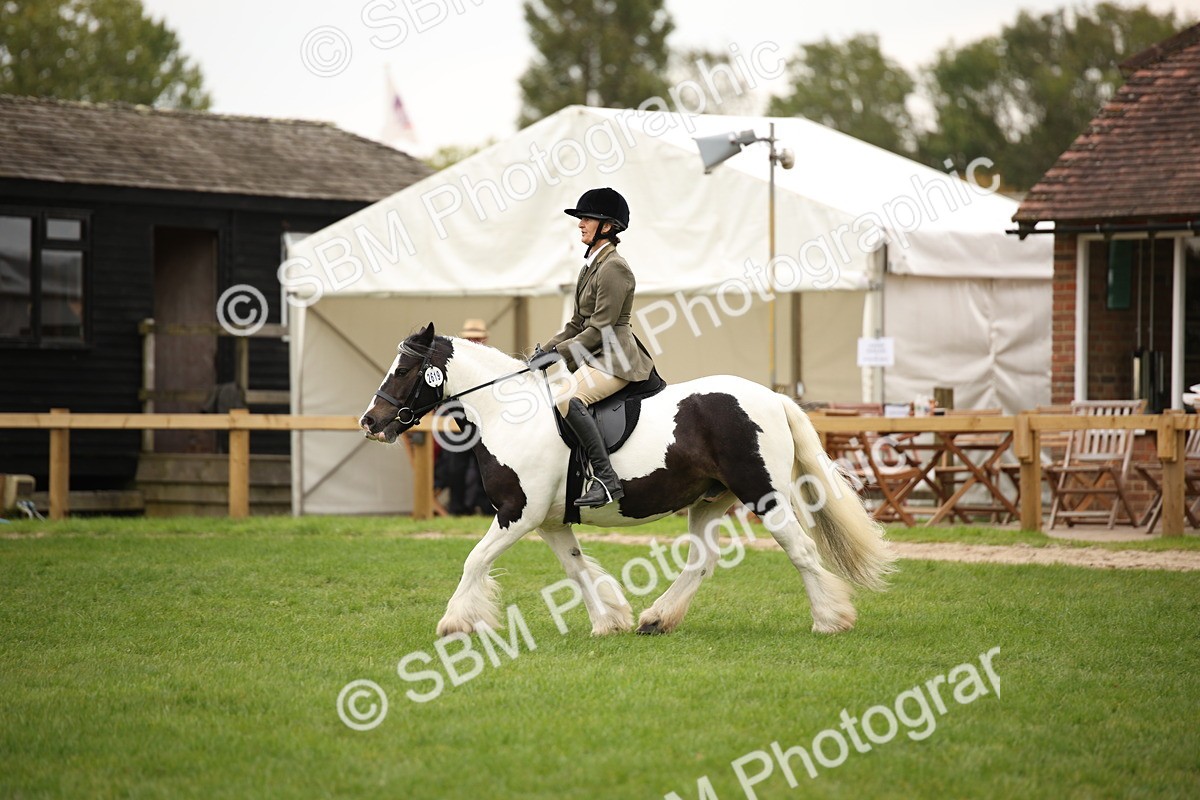 SBM_73553 - S68 - Traditional Cob Ridden