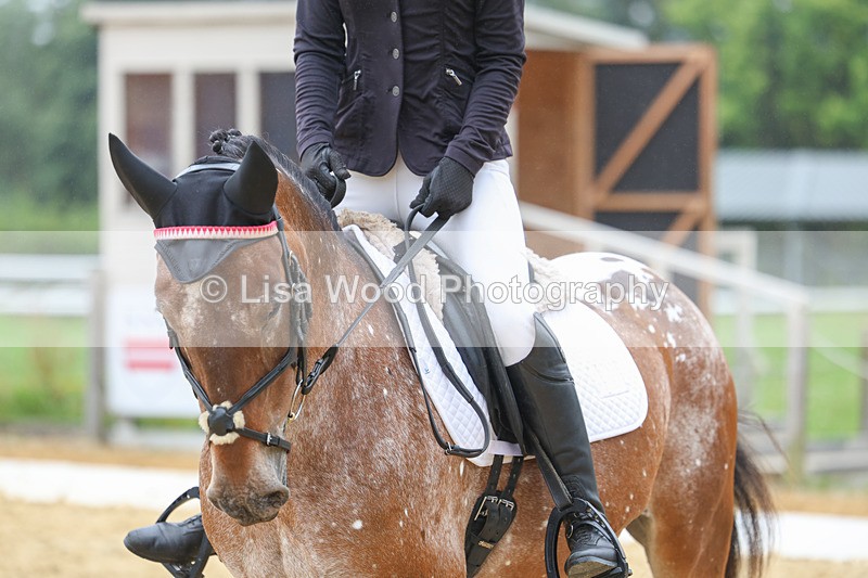 3E7A5391 - Class 2: Intro 4 2024 section B