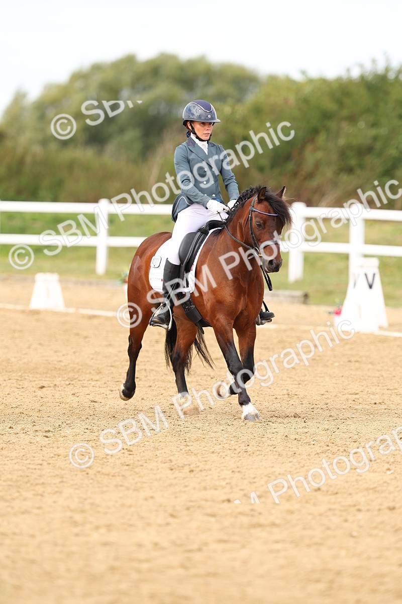 SBM_012415 - class 5 - Elementary 53 - 12.00-13.08