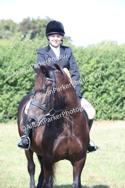 20250831-2559 - Class 16 - Family Pony