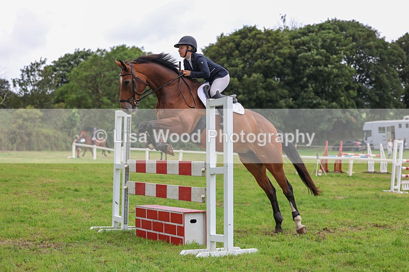 3E7A8204 - Class 7: Senior Newcomers/1.10m open