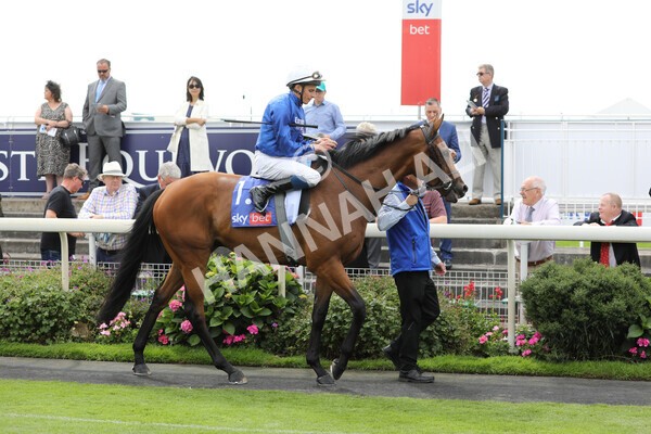 yr20082022r2-10 - Race 2 2.35pm Sky Bet Melrose Stakes