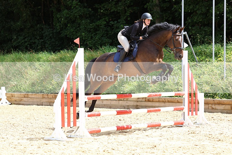 3E7A0207 - Class 9: Senior British Novice/90cm open