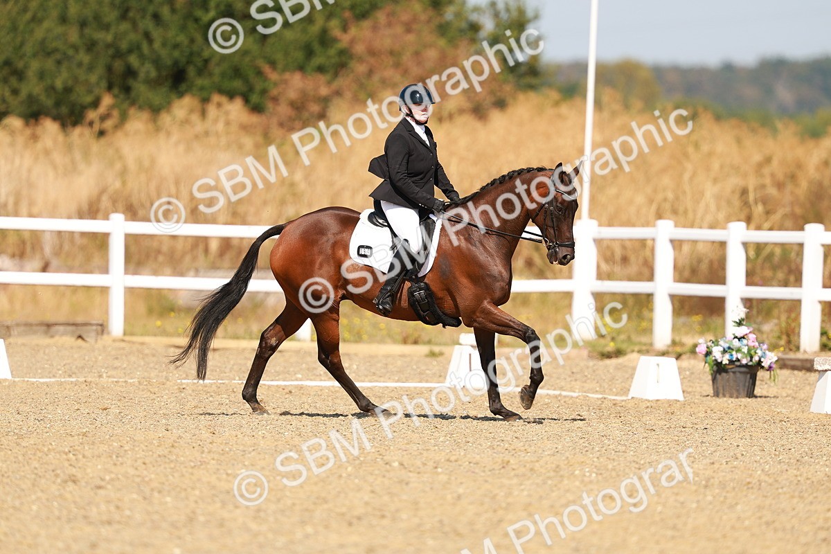 SBM_017729 - Class 9 - N5 Bronze 10.33.11.36