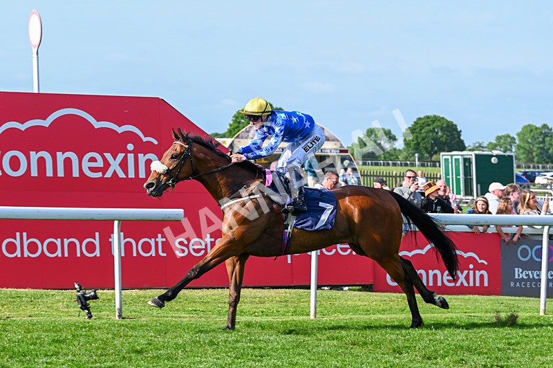 270526-Race 7-King Of The Jungle-3725 - Race 7 17.20pm Racing Again This Saturday Apprentice Handicap