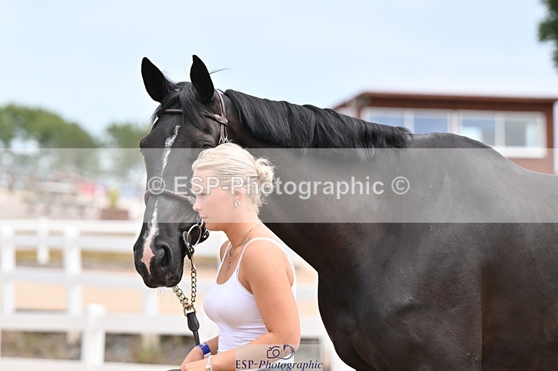 250716-144304-01329 - Trot Up 2.30 to 3.30