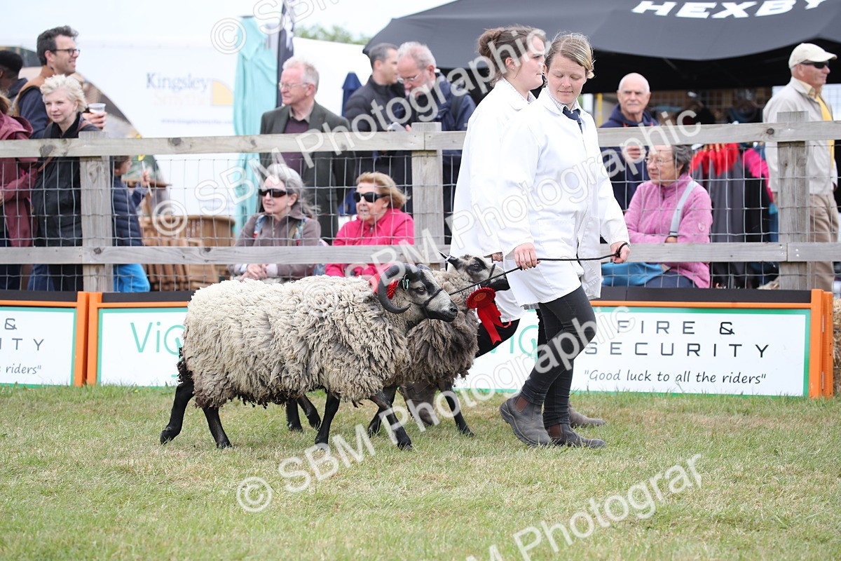 SBM_07809 - Grand Parade