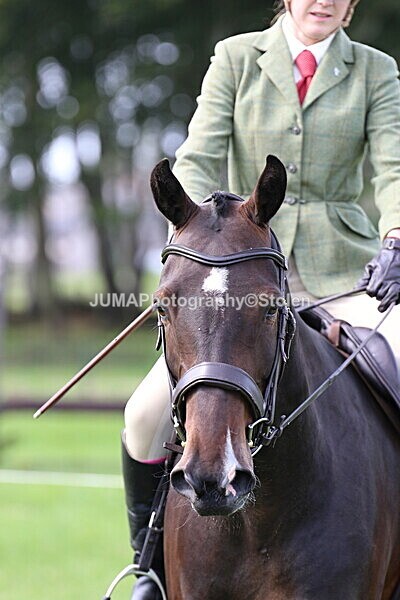 SIAL6718 - Ring 1 & 3