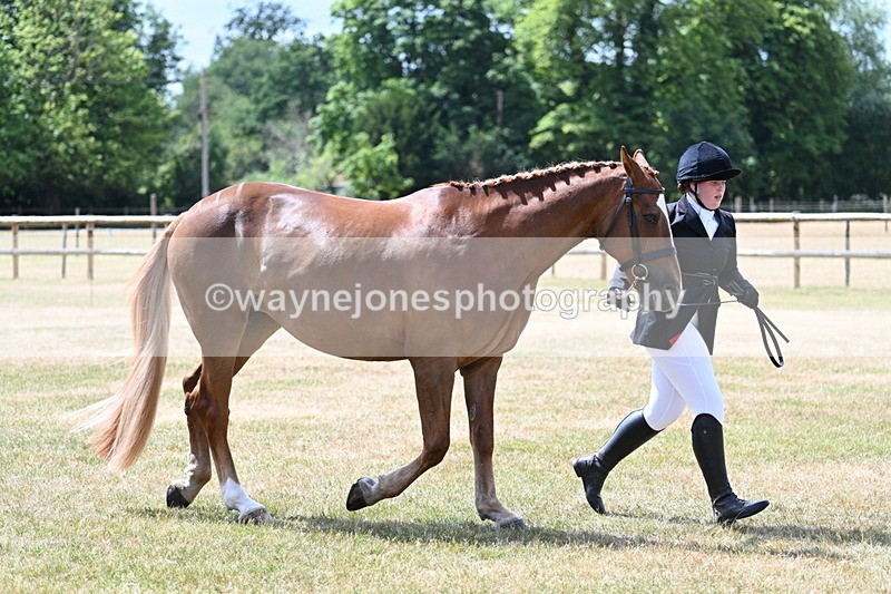 WJ7_2000 - Class 4a Prettiest Mare 14.2hh and over hand