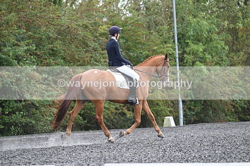 WJ7_6772 - Time 14:49 to 15:14