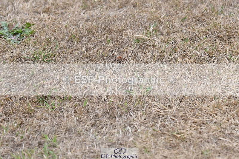 250820A-180348-12475 - Wednesday Presentations