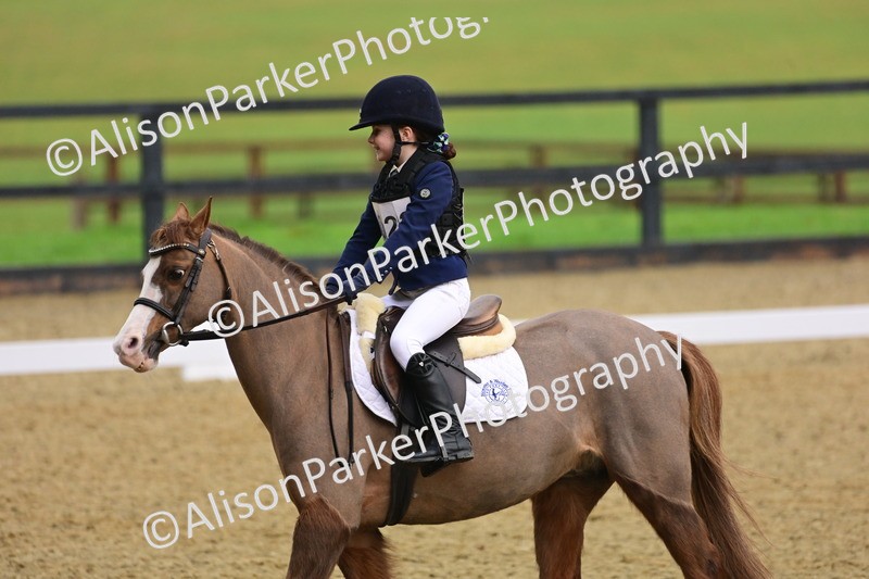 20260125-0658 - Class 9b - Walk Trot Unassisted