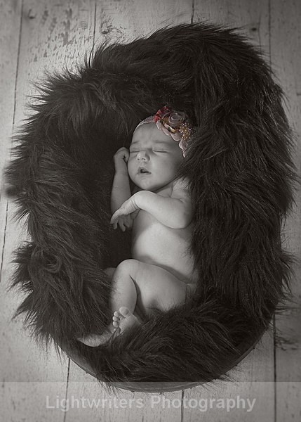 Willow 24 - Willow