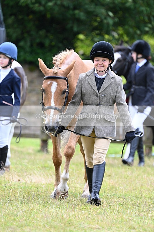 WJ7_6466 - Class 5 Handsome Gelding in hand