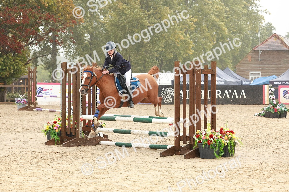 SBM_73353 - Supreme Championship Junior Pony 60cm & 65cm