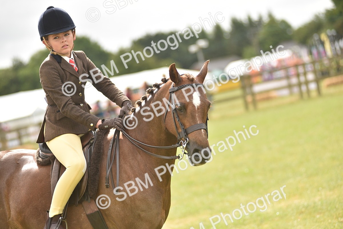 SBM_12052 - Class 110-112 - LIHS BSPS Performance Pones