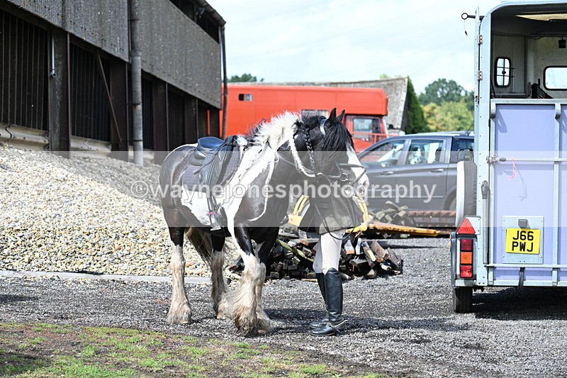 WJ7_7433 - Berks & Bucks at Blandy’s Farm 31-08-25