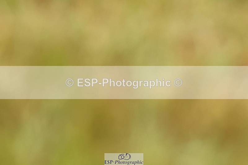 240824X-090048-21992 - D70 Section C and D 8.30 to 9.30