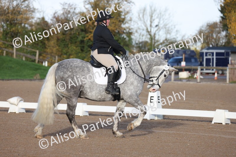 20251101-0015 - Class 1 - Intro 1