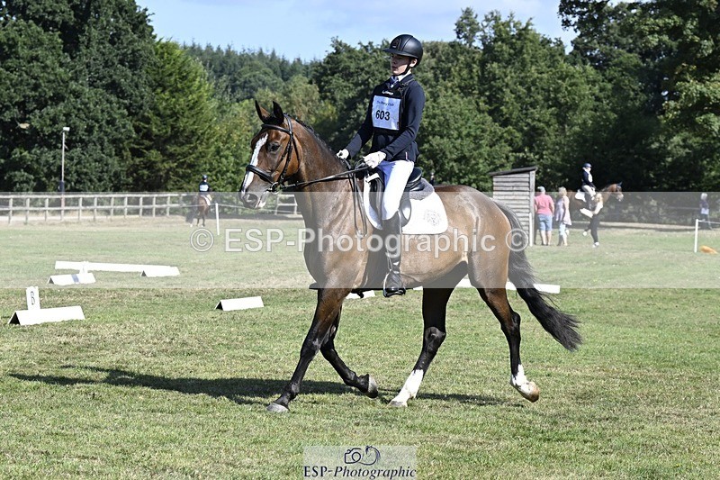 250822A-103111-20276 - DR 10.00 to 11.00