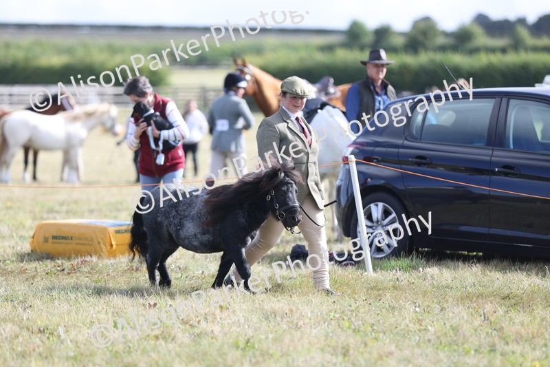 20250831-1509 - Class 21 - Inhand Open