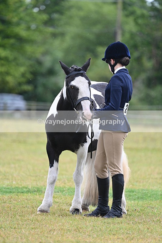 WJ7_5892 - Class 4 Prettiest Mare in Hand