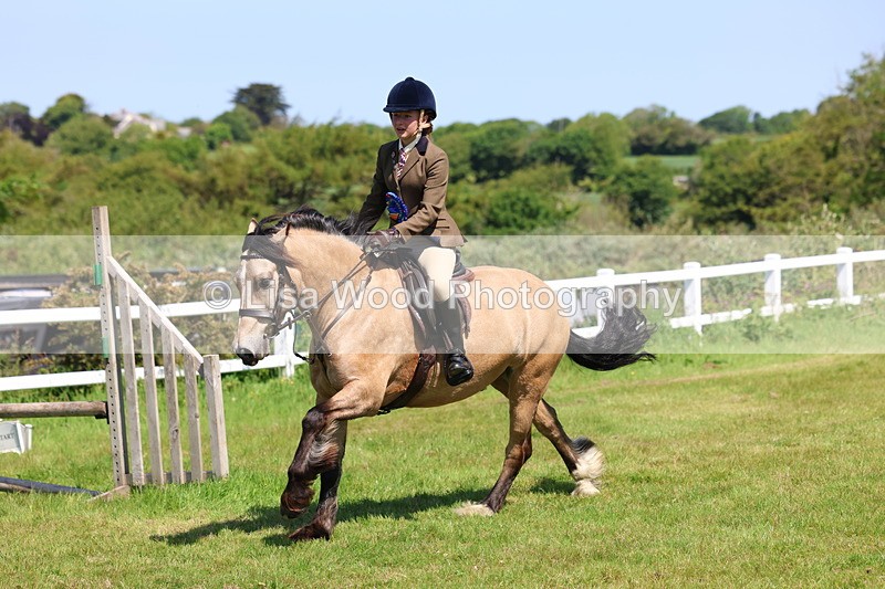 3E7A6787 - Working Hunter Pony Championship
