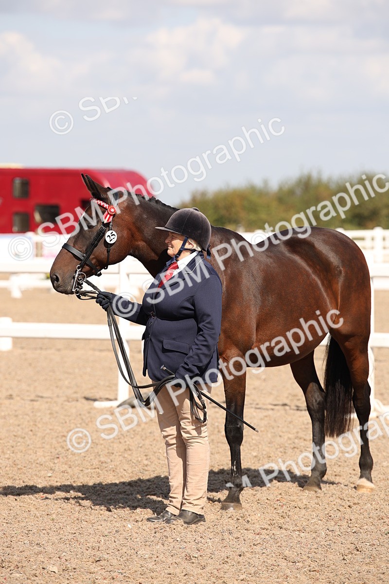 SBM_03026 - Class 17 Prettiest Mare IH or Ridden