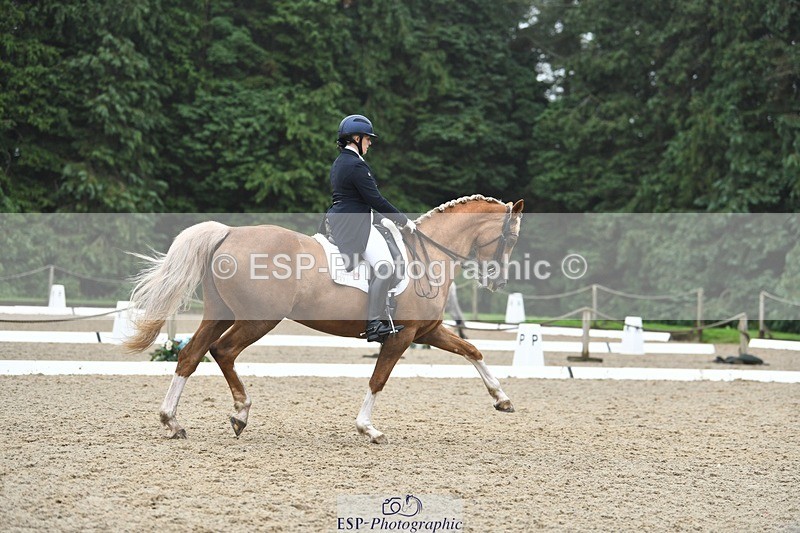 240720-144731-05809 - 187-Clare_Smith-Dori_Dragon_Fly