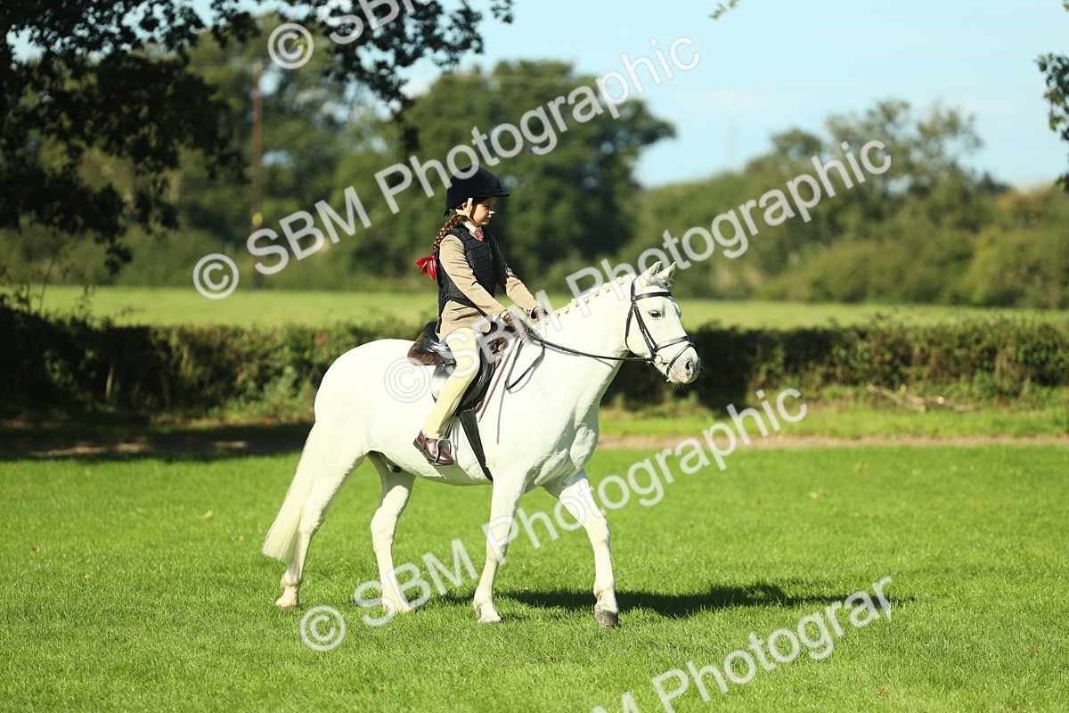 SBM_37491 - S29 - Novice & Newcomers Working Hunter Pony