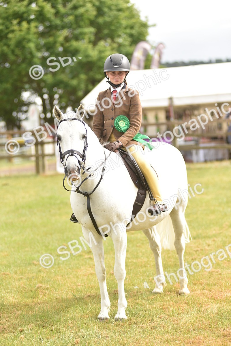 SBM_12072 - Class 110-112 - LIHS BSPS Performance Pones