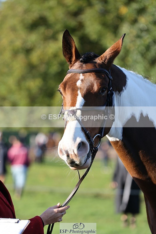 241027-090412-15007 - 304-Rachel.Brockington-LYNWOOD.CLEAR.CUT