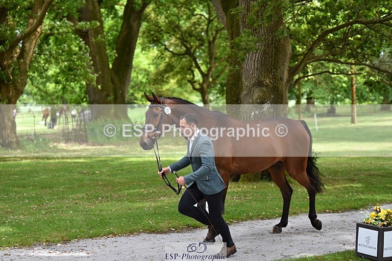 240522-150004-00031 - 301-CAMOUFLAGE-Alexander_Bragg