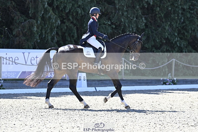 250522A-101250-02644 - B-310-Kitty.King-LISCARROW.FERNHILL