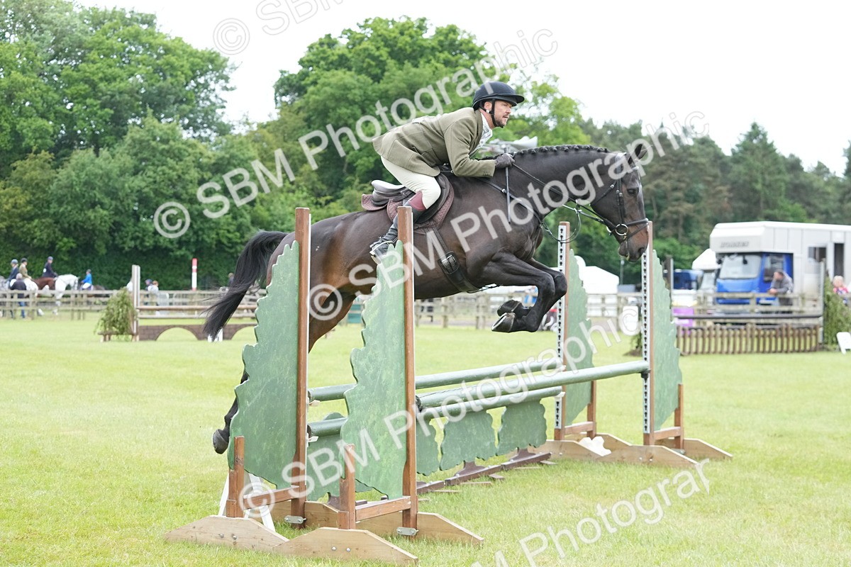 SBM_12543_Class 97 - 98 - LIHS BSHA Rising Star Working Show Horse Hun - Noel