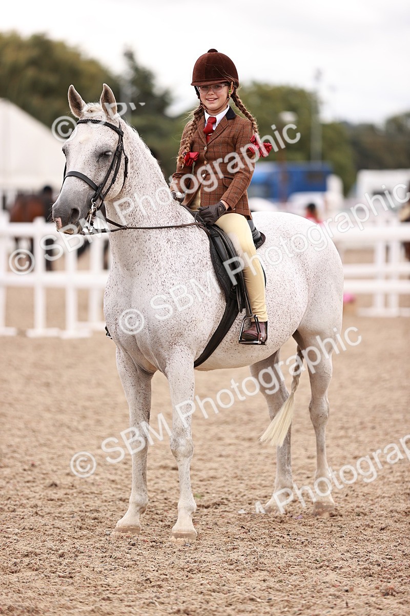 SBM_18582 - Class 421 - Childs Best Friend - Jnr