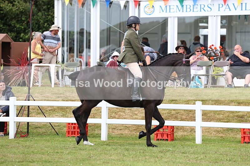 3E7A0816 - Class 8: Open Riding Horse/Hack