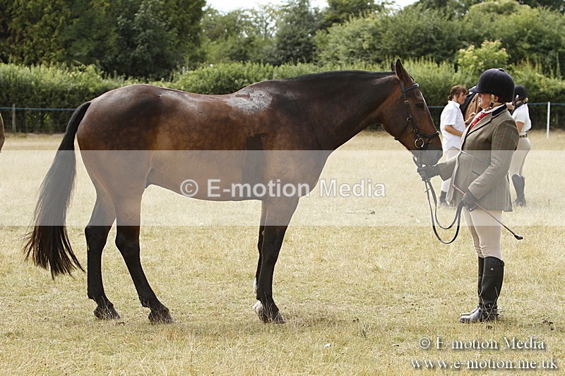 _BS_0974 - BVRC Show 2018 Ring 3