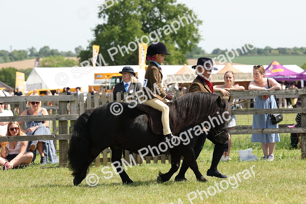 SBM_05193 - Class 24-25 - Mountain & Moorland In Hand Lead Rein and First Ridden