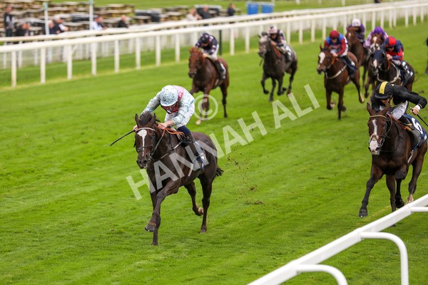 131023-Race 2-Lordship-9749 - Race 2 2.40pm William Hill Finale Handicap