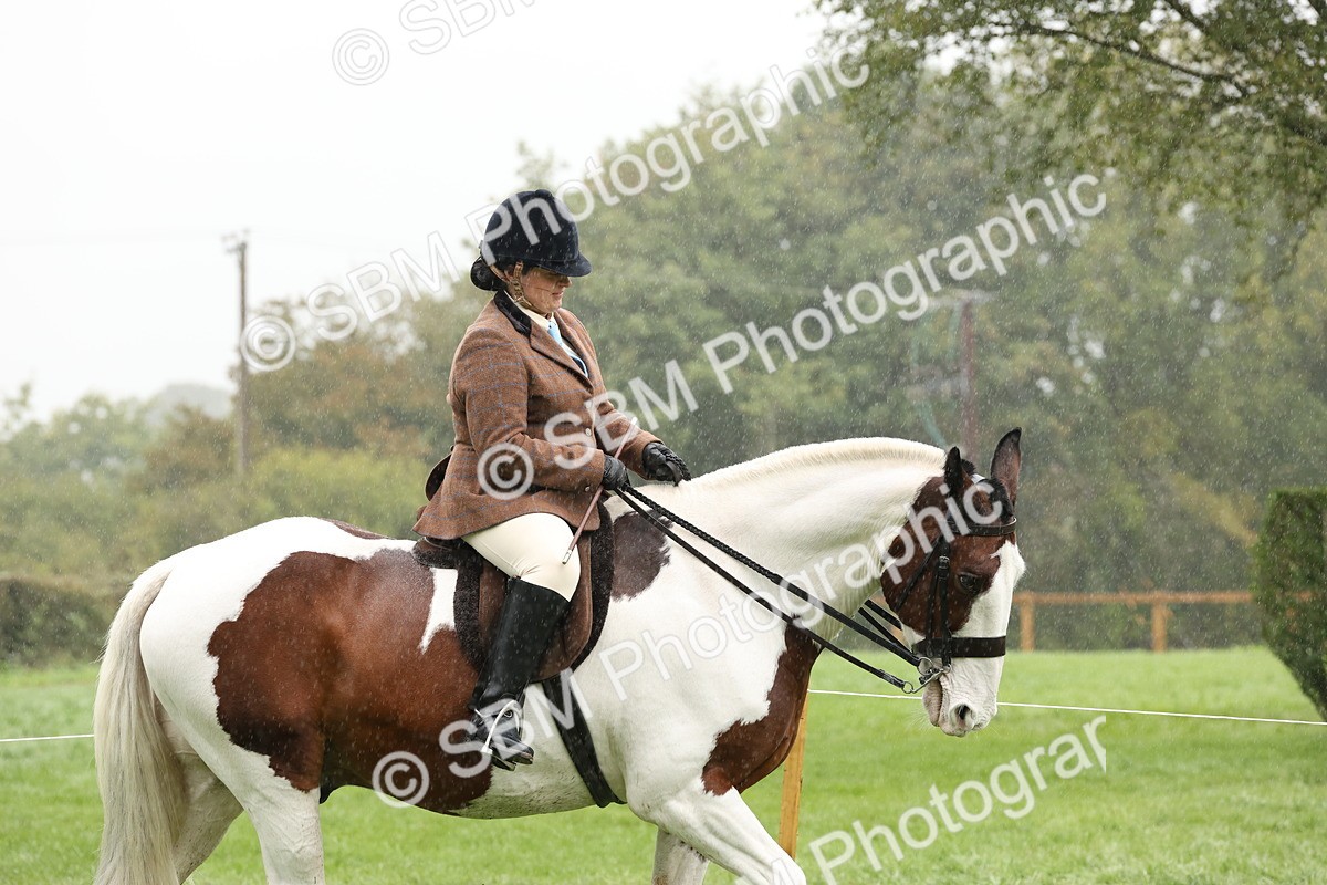 SBM_69778 - S69 - Show Cob Ridden