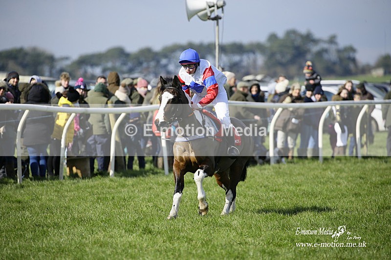 PtP 060322 105 - Blackmore & Sparkford Vale Hunt PtP 06/03/22