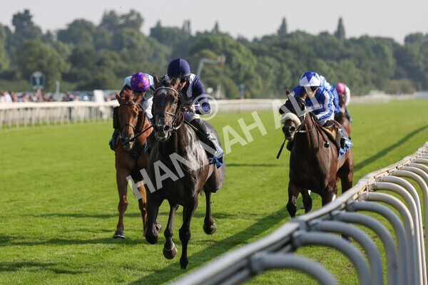 yr05092021r6-7 - Race 6 4.50pm Hanson Spring Stakes