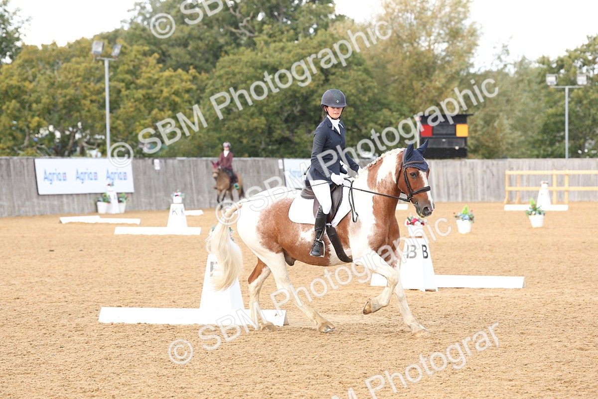 SBM_47479 - D12 - Small Tour Championship prelim 2